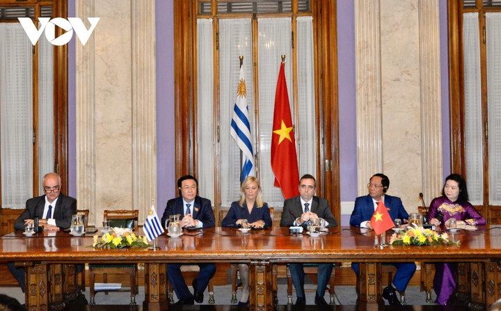 Chủ tịch Quốc hội hội đàm với Chủ tịch Thượng viện và Hạ viện Uruguay - 6