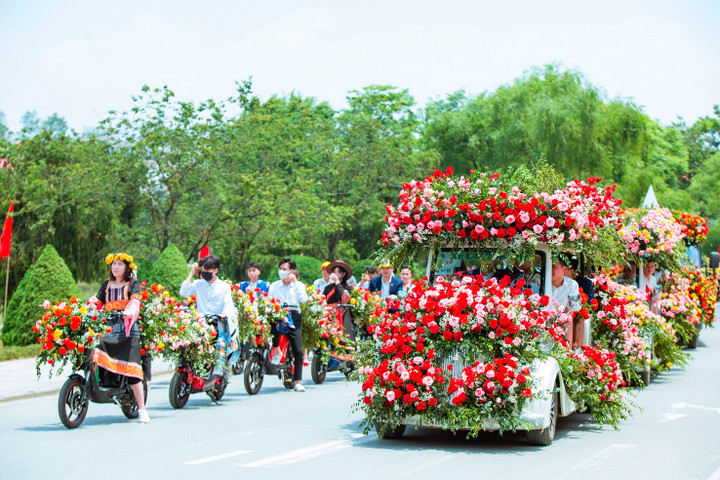 Mãn nhãn với hàng nghìn đóa hồng trong Lễ hội Hoa hồng Sa Pa - 5