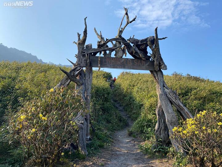 Hành trình hai ngày một đêm băng rừng chinh phục ngọn núi cao thứ 9 Việt Nam - 10