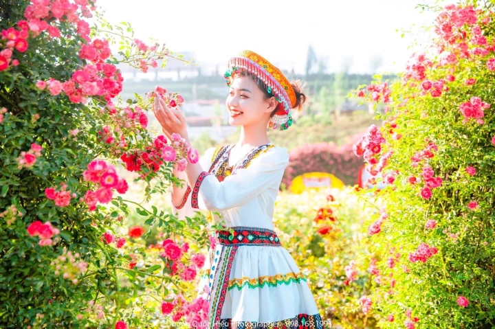 Ngàn hoa hồng khoe sắc, Sun World Fansipan Legend khiến du khách say lòng - 2
