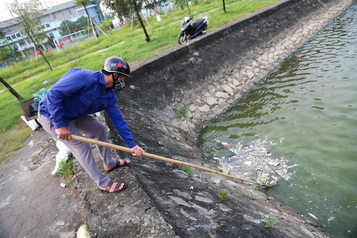 Cá chết trương, nổi trắng hồ điều hòa lớn nhất TP Hà Tĩnh - 6