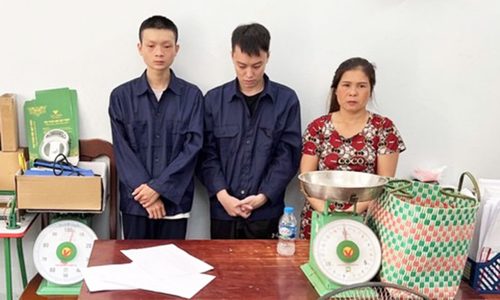 Phá đường dây trồng và phân phối cần sa khép kín, thu giữ hơn 40 kg cần sa khô - 2