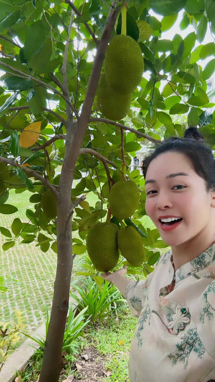 Sao Việt 13/5: Hồng Nhung trẻ trung với tóc hai bên, Mr Đàm tới thăm NS Mạc Can - 14