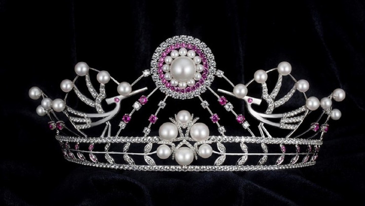 Hoa hậu có gia thế khủng, lập kỷ lục 'thông thạo nhiều thứ tiếng nhất' là ai? - 1