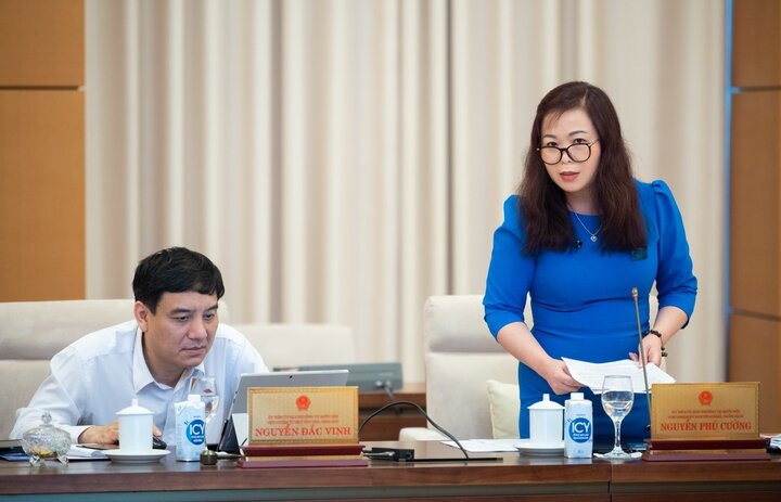 Cơ chế đặc thù TP.HCM: Tránh số lượng chính sách nhiều nhưng hạn chế về sức nặng - 1