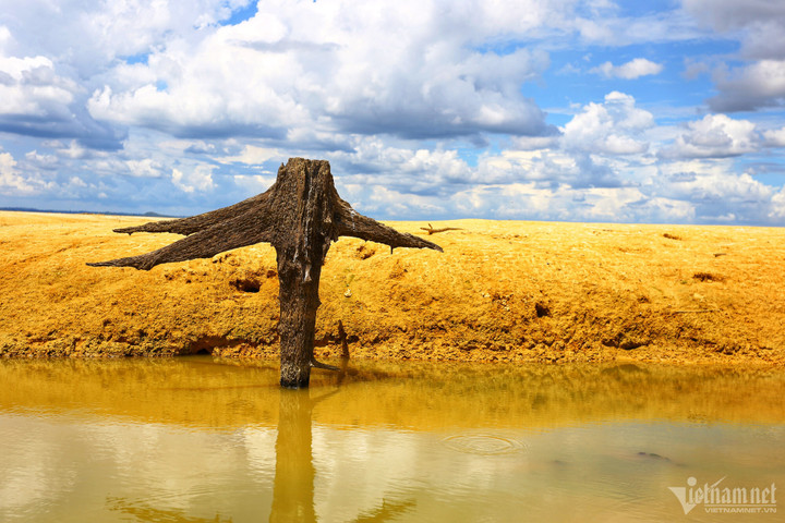 Mực nước xuống kỷ lục, hồ Trị An khô cằn nhất trong 13 năm qua - 4