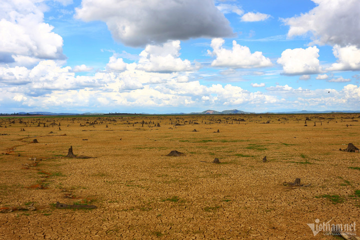 Mực nước xuống kỷ lục, hồ Trị An khô cằn nhất trong 13 năm qua - 6