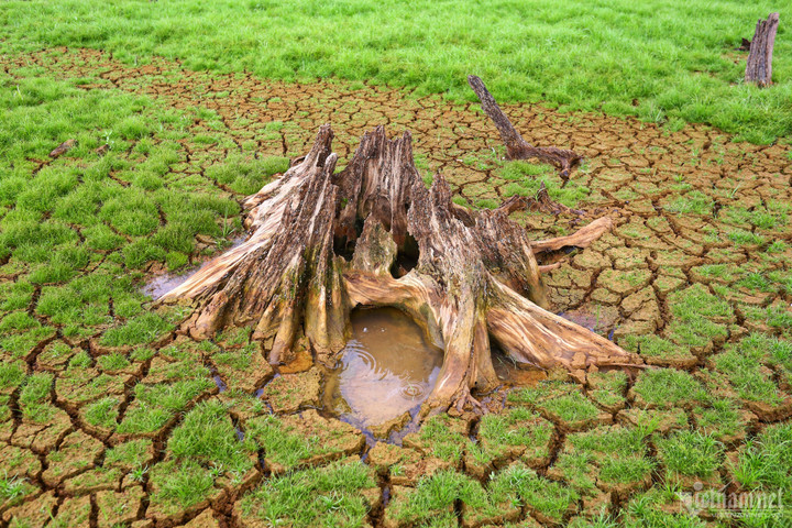 Mực nước xuống kỷ lục, hồ Trị An khô cằn nhất trong 13 năm qua - 7