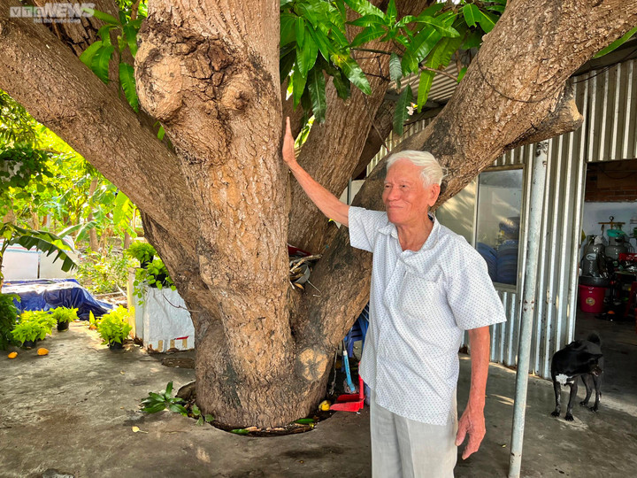 Khánh Hòa: Dân sống trong những căn nhà chật chội bên dự án nghìn tỷ - 4