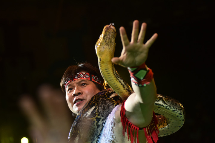 NSND Tống Toàn Thắng 4 lần suýt chết khi diễn với trăn - 1