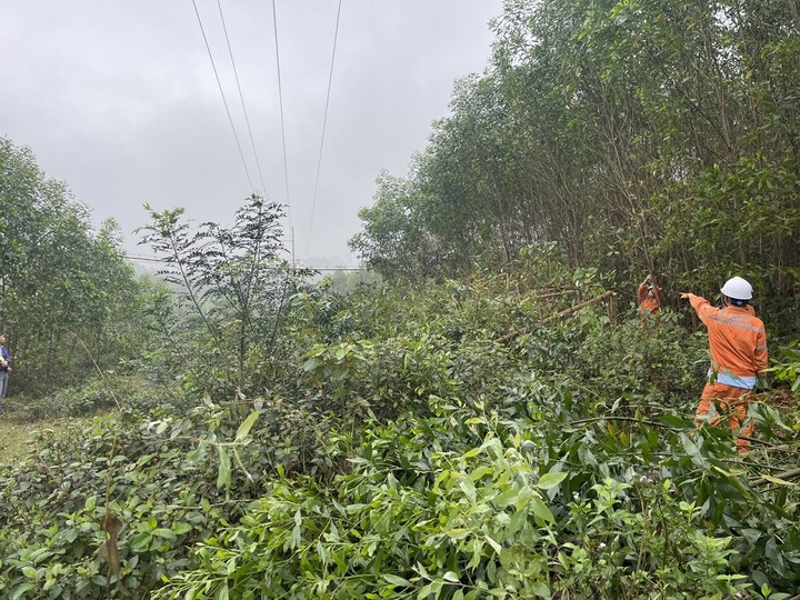 PC Hà Tĩnh nâng cao công tác tuyên truyền bảo vệ hành lang an toàn lưới điện - 1