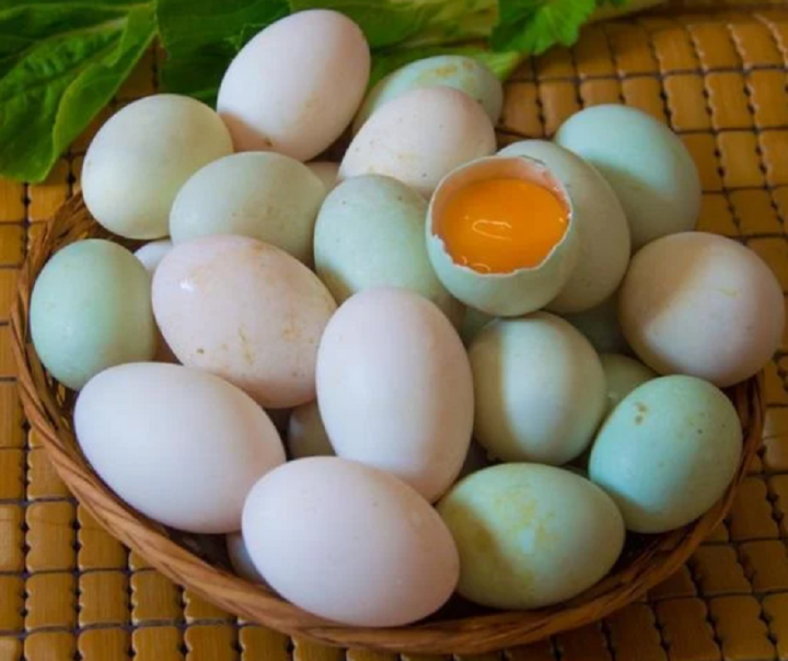 Mua trứng vịt lộn nên chọn vỏ trắng hay vỏ xanh?  - Đầu tiên