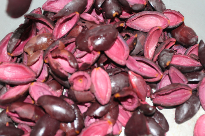 Ngọt bùi đặc sản nham trám nức tiếng, ai cũng phải thử khi đến Bắc Giang - 3