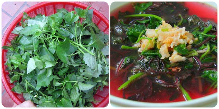 Đi chợ gặp 4 loại rau bổ hơn thịt, rẻ hơn thuốc, vừa ngon vừa bổ, nhớ mua ngay - 1