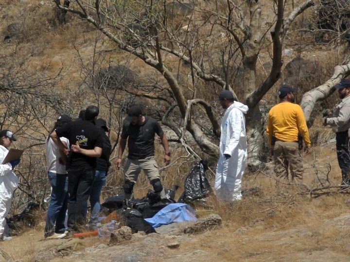 Mexico phát hiện 45 túi đựng bộ phận cơ thể người dưới khe núi - 1