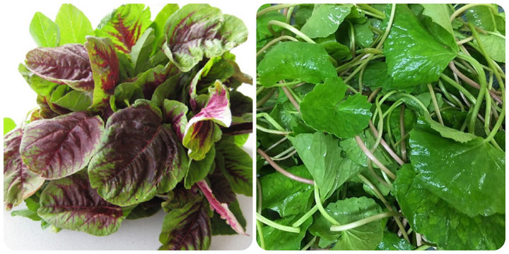 8 loại rau thải độc gan cực tốt, ăn vào đỡ táo bón, giá chỉ bằng cốc trà đá - 1