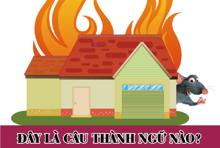 Đố bạn : Câu thành ngữ này là gì ? - 1