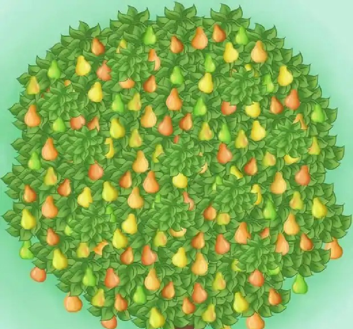 Người tinh tế mới nhận ra lỗi sai trong bức hình - 1