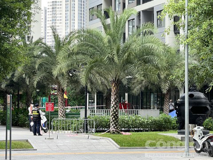 Người đàn ông 74 tuổi nghi rơi từ tầng 19 chung cư xuống đất tử vong - 1