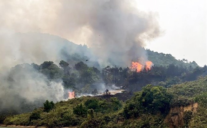 Quảng Ninh: Cháy rừng khiến hai người dân tử vong - 1