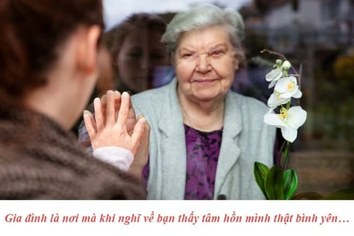 Câu nói hay về gia đình đáng suy ngẫm - 2