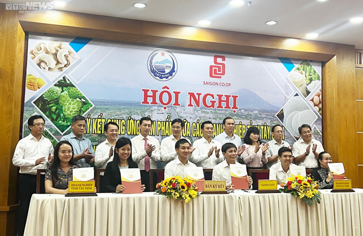 Saigon Co.op ký kết hợp tác tiêu thụ các sản phẩm của Tây Ninh - 3
