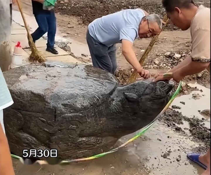 Phát hiện con rùa đá lớn trong quá trình làm đường, dân mạng xôn xao - 1