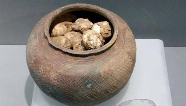 Vì sao các nhà khảo cổ lại sợ 'trứng gà' khi khai quật mộ cổ? - 3