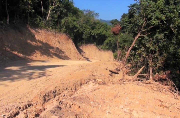 Tập đoàn Đèo Cả giải phóng 40.000 m2 diện tích rừng để mở đường công vụ - 1