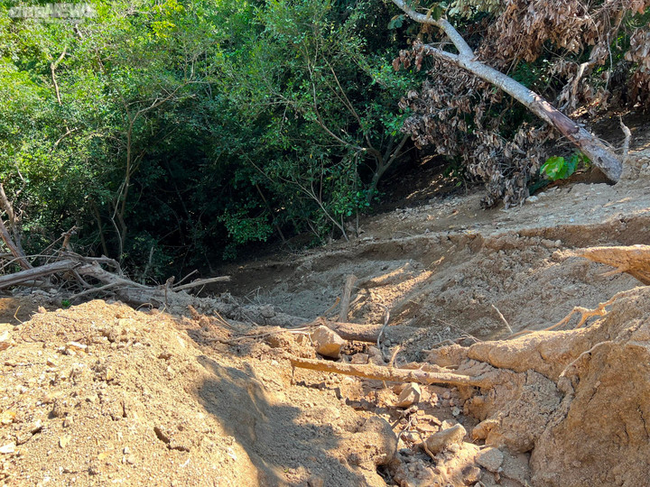 Tập đoàn Đèo Cả phá rừng mở đường công vụ: 'Sai ở đâu, xử lý ở đó' - 2