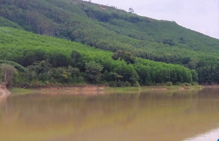 Rủ nhau ra hồ chơi, 3 học sinh ở Gia Lai chết đuối thương tâm - 1