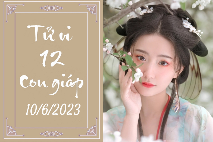 Tử vi vui 12 con giáp hôm nay ngày 10/6/2023: Mão chân thành, Dậu thông minh - 1