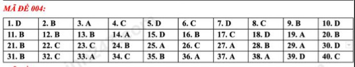 Gợi ý đáp án đề thi tiếng Anh vào lớp 10 Hà Nội mã đề 004 - 1