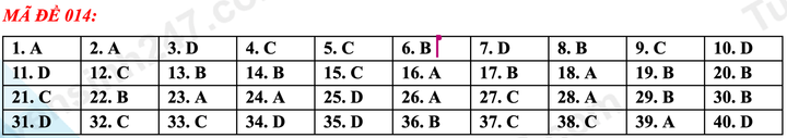 Gợi ý đáp án đề thi tiếng Anh vào lớp 10 Hà Nội mã đề 014 - 1