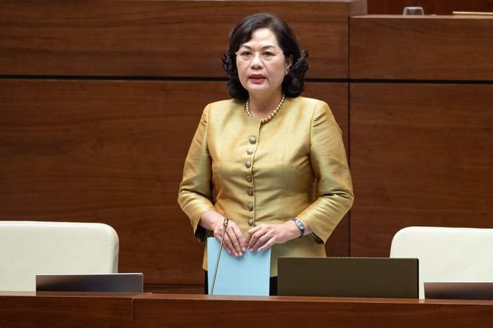 Thống đốc Ngân hàng Nhà nước: Can thiệp sớm để hạn chế rút tiền như vụ SCB - 1