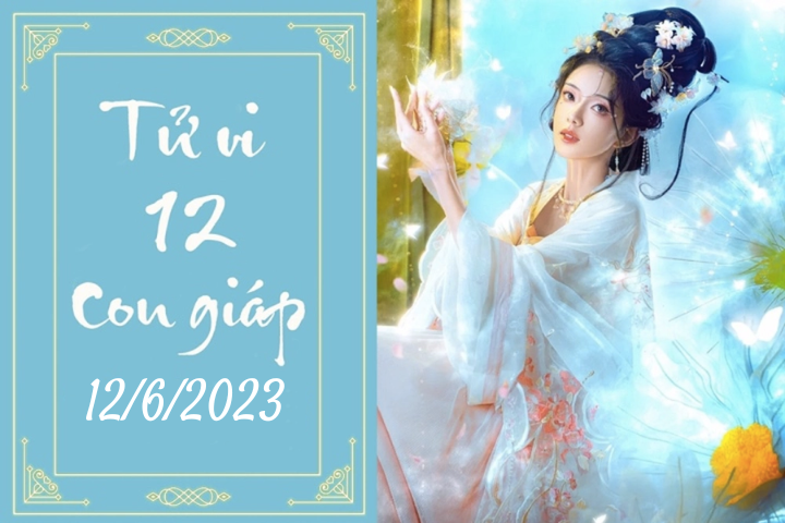 Tử vi vui 12 con giáp hôm nay ngày 12/6/2023: Tỵ ổn định, Mùi thích nghi - 1