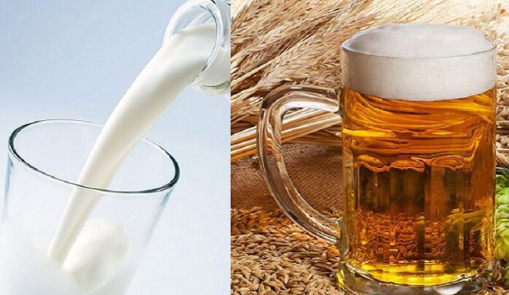 Bia kết hợp với sữa tươi có tác dụng gì?  - Đầu tiên