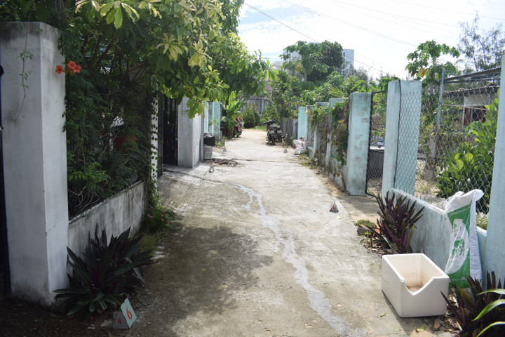 Khởi tố cụ ông 83 tuổi ở Phú Yên thuê đất Nhà nước rồi phân lô, bán nền - 1