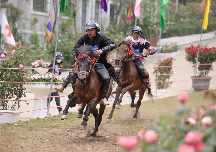 Tới Fansipan, đón xem mùa giải vó ngựa trên mây từ 24/6 đến 2/7/2023 - 1