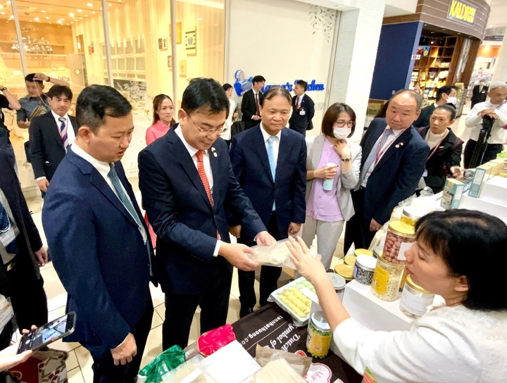 Giới thiệu sản phẩm khu vực phía Nam ở Tuần hàng Việt Nam tại AEON Nhật Bản - 3