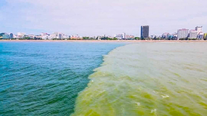 Xôn xao biển Sầm Sơn chia đôi màu nước - 3