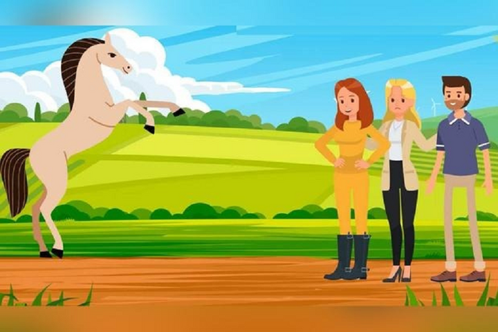 Chủ nhân của chú ngựa là ai ? - 1