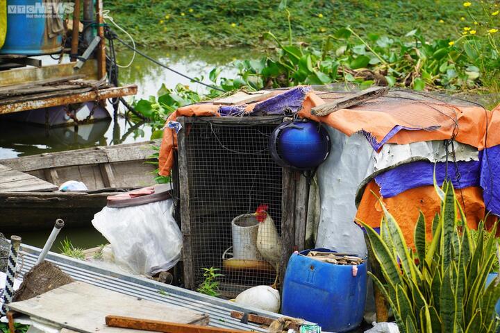 Dân nuôi cá lồng trên hồ Trị An, nguồn nước sạch bị đe dọa - 8