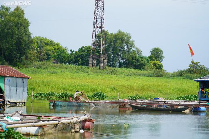 Dân nuôi cá lồng trên hồ Trị An, nguồn nước sạch bị đe dọa - 5