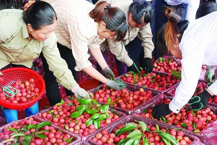 Thủ tướng lên đường thăm chính thức Trung Quốc, dự Hội nghị thường niên Diễn đàn WEF - 4