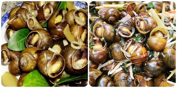 Những ai không nên ăn ốc?