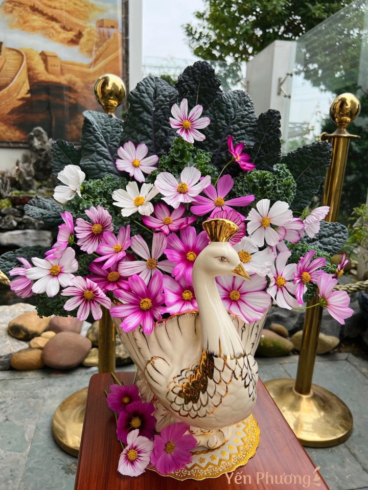 Ngắm những 'bông hoa' độc lạ được xếp bằng rau trong vườn của mẹ Quảng Ninh - 4