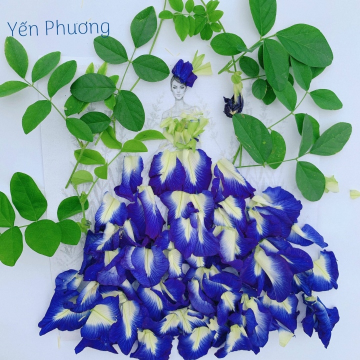 Ngắm những 'bông hoa' lạ mắt xếp bằng rau trong vườn của mẹ Quảng Ninh - 19