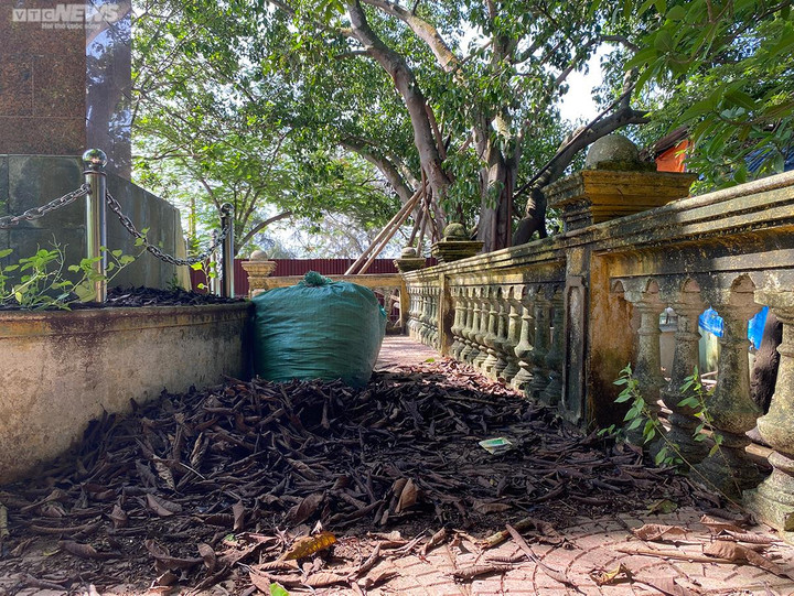 Hải Phòng: Di tích lịch sử Bến Nghiêng xuống cấp, bao giờ được trùng tu? - 4