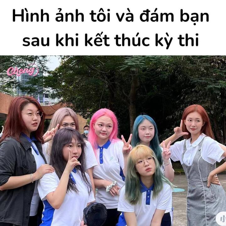 "Thi xong rồi, bung xõa cá tính thôi". (Ảnh: Insight mất lòng)